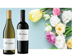 Spring Classics
